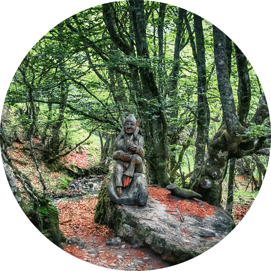 Naturterapeut, naturarbejder, shaman og healer Jeanne Jensen fra Naturlig Viis arbejder med shamanisme og viser et billede af en skov med en klog kone