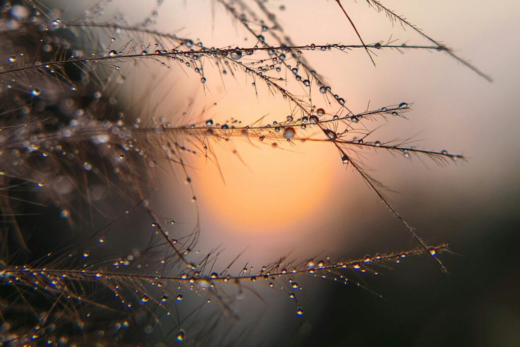 Vandet i april er naturens egen måde at vaske vinterens dvale væk på.