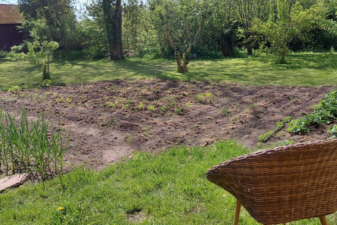 Naturterapeut, naturarbejder, shaman og healer Jeanne Jensen fra NaturligViis arbejder med shamanisme og har netop rejst sig fra stolen hvor hun kikker ud på jorden hvori der ligger de magiske frø